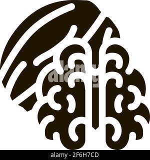 walnut nut icon Vector Glyph Illustration Stock Vector
