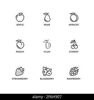 Vector set of design elements, logo design template, icons and badges for fruit. Line icon set, editable stroke. Stock Vector