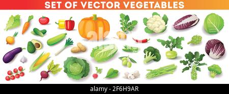 Colorful fresh vegetables set isolated, organic healthy food Stock Vector