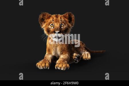 3d Illustration Portrait of Little Lion Cub Isolated on Dark Background with Clipping Path. Stock Photo