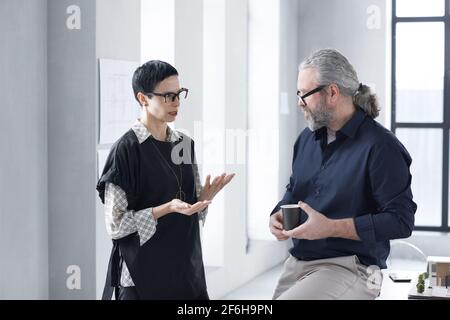 Two mature colleagues discussing their work at modern office Stock Photo