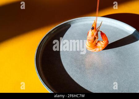Balancing flying Red shrimp on a gray plate and yellow background. Trendy colors. Minimalistic concept sea food. Deep shadows. Stock Photo