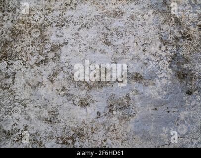 Grunge Aged Damask Pattern Surface Textured Background Stock Photo