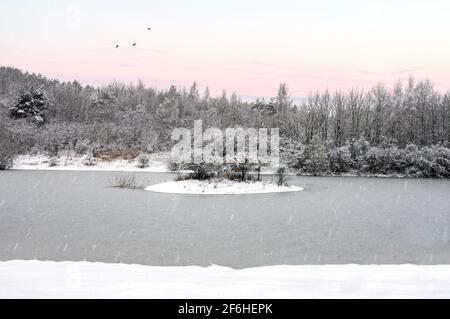 Winter woodland island in lake with deep snow settled and snowing from sky. Beautiful pink orange sunrise at dawn with birds in flight as sun sets Stock Photo