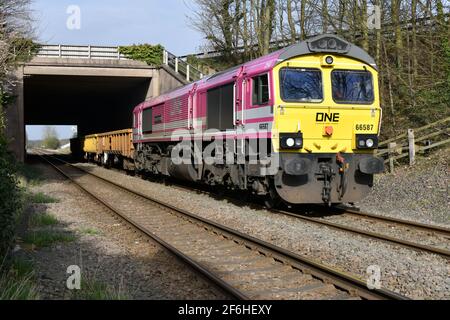 Ocean Network Express pink liveried Class 66 number 66587 'As One, We Can' working a short freight train between Toton and Crewe  on 31 March 2021 Stock Photo