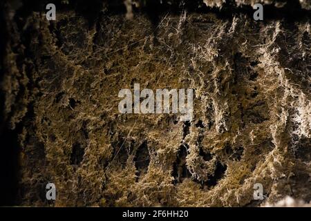 Image of old dust texture in ventilation shaft Stock Photo