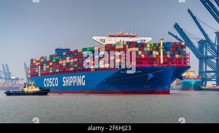 Large container ship COSCO Shipping Universe leaves the port of ...