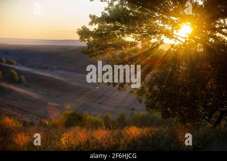 At dawn, the sun's rays pass through the oak branches and the light falls on the spring grass. The hills on the horizon start to shine in the sun. Stock Photo