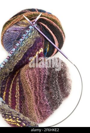 Knitting using  circular needles and yarn Stock Photo