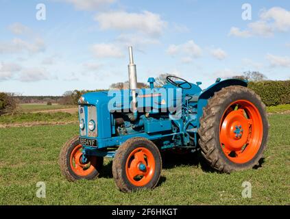 Fordson Super Major vintage tractor in a field drilled with Spring Barley Stock Photo