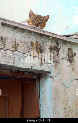 Greece, Rhodes island Paradeisi village traditional architecture Stock Photo