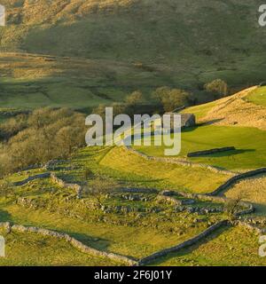 Scenic sunny Wharfedale landscape (upland fells, stone barn, steep hillside slopes, limestone walls, grazing pastures) - Yorkshire Dales, England UK.