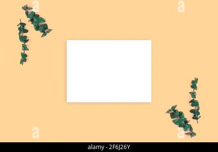Floral and flat lay mockup with eucalyptus branches on a beige pastel background, copy space Stock Photo