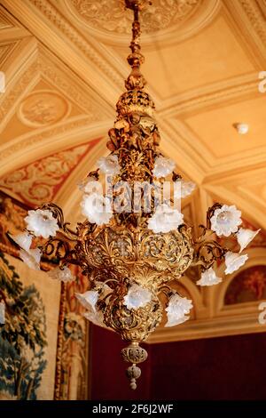 An ancient huge golden chandelier with white shades with lamps, on the ceiling with stucco molding. Stock Photo