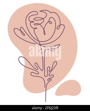 Minimalist flower line art, floral composition Stock Vector