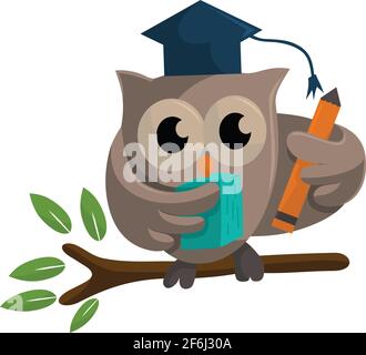 Owl bird template design Smart Education with Owl Symbol Stock Vector