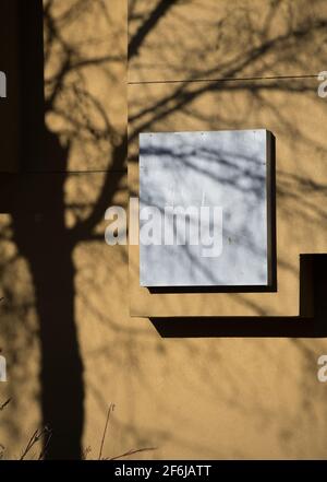 shadow of tree and branches cast on yellow concrete wall of building with architectural design grey square and zig zag line on home exterior wall Stock Photo