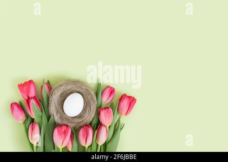 Easter composition with a white egg in the nest and pink tulips on a green background. Copy space. View from above. Stock Photo