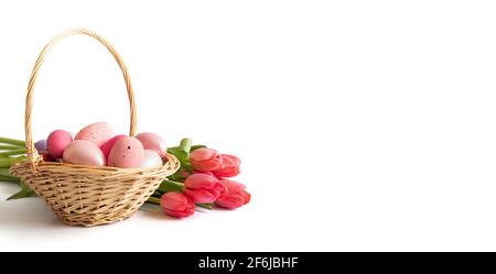 Easter pink eggs in a basket and a bouquet of pink red tulips isolated on a white background. Easter composition. Banner. Space for text. Stock Photo