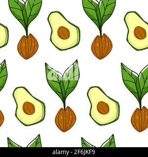 Avocado ripe fruit with seed, growing plant print Stock Vector