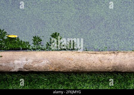 The reflection of the tree in the flooding water surface on the border of an artificial grass football field Stock Photo