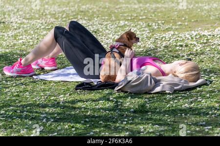 Regent's Park London UK female sunbathing among daisies with her small dog on the warmest March day 2021 after easing of lockdown restrictions Stock Photo