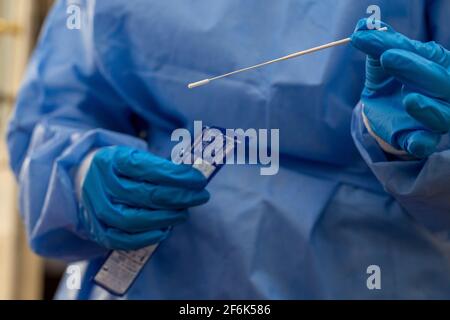Illustration shows a demonstration of a rapid COVID-19 test in Brussels, Thursday 01 April 2021. The general sale of rapid tests in pharmacies as from Stock Photo