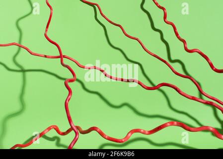 Red curved lines on green background. Dry plant with shadows. Stock Photo