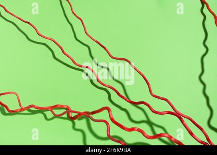 Red curved lines on green background. Dry plant with shadows. Stock Photo