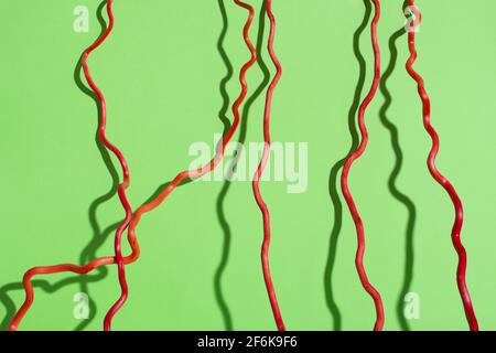 Red curved lines on green background. Dry plant with shadows. Stock Photo