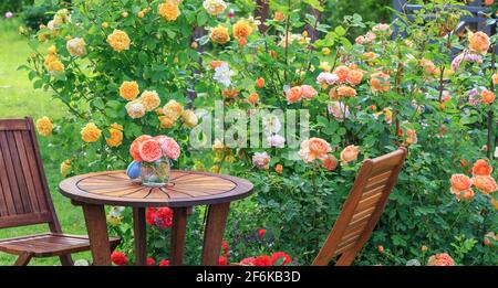 Romantic sitting area in the rose garden, round wooden table and chairs near the large flowering bushes of English roses Stock Photo