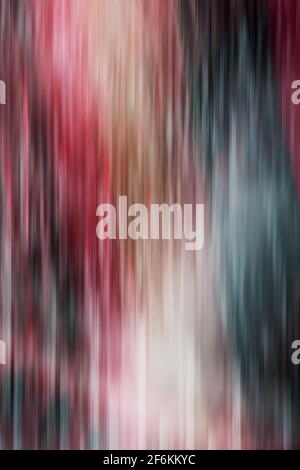 rose, blue, orange dynamic color lines Stock Photo