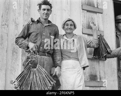 Spanish trapper's wife with skins of muskrats her husband just brought home to their marsh camp. Delacroix Island, Saint Bernard Parish, Louisiana. 1941. Stock Photo