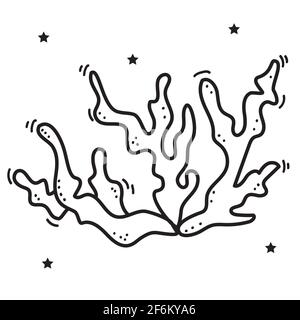 Marine underwater plant - coral. Vector. Decorative picture on a white background. Line, sketch, outline Stock Vector