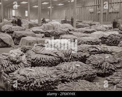 Baskets of tobacco on warehouse floor before auction sale. Durham, North  Carolina. 1939 Stock Photo
