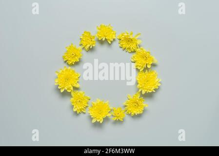 Flower composition. Round frame of yellow chrysanthemum flowers on a gray background. Color of the year 2021. Top view, flat lay