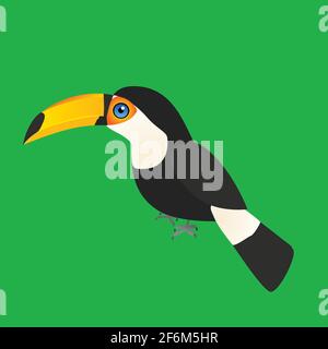 An illustration of a toco toucan. The single bird is placed on a green background. Stock Vector