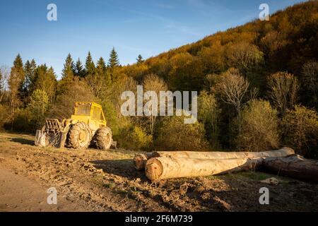 Forest tractor LKT 81 in the Bieszczady Mountains. Eastern Carpathians, Poland, Europe Stock Photo
