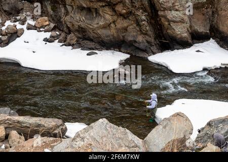 Golden, Colorado - A woman fly fishes in Clear Creek in early spring. Stock Photo