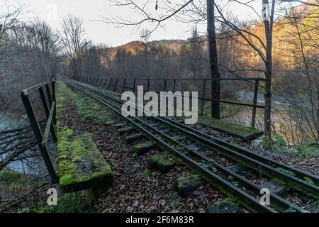 An old unused narrow-gauge railway bridge in the Bieszczady Mountains .  Bieszczady, Poland, Europe Stock Photo