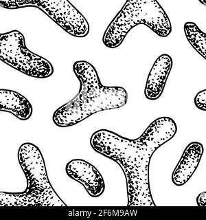 Bacterium seamless pattern in realistic sketch stile. Hand drawn medical background. Vector illustration Stock Vector