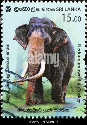 Postage stamp from Sri Lanka in the Native animals series issued in ...