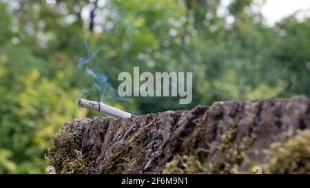A smoking cigarette with a column of ash, lying on a stump with gray rough  bark, overgrown with moss against the green. Concept: Protect the environme  Stock Photo