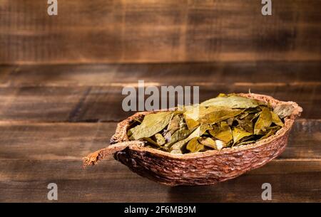 Dried coca leaves - Erythroxylum coca Stock Photo