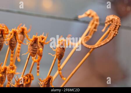 China Beijing Scorpions and seahorses at Donghuamen Night Market, located in the northern end of Wangfujing. Stock Photo