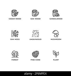 Vector set of design elements, logo design template, icons and badges for forest. Line icon set, editable stroke. Stock Vector