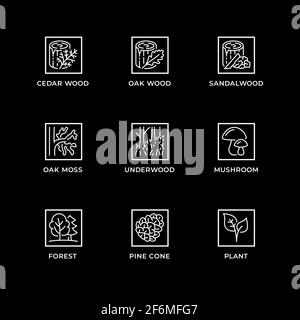 Vector set of design elements, logo design template, icons and badges for forest. Line icon set, editable stroke. Stock Vector