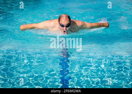 Older man swimming laps using the Butterfly Stroke in a lap pool, Naples, Florida, USA Stock Photo