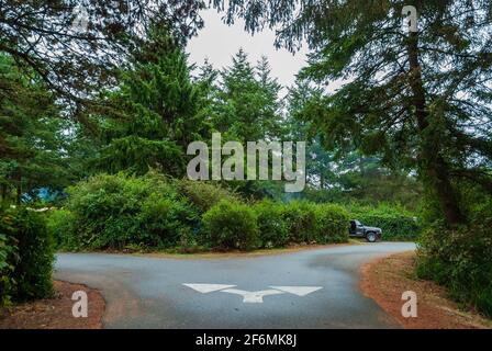 A road with divergent arrows pointing two ways in a campground in the Pacific Northwest. Oregon, USA. Stock Photo