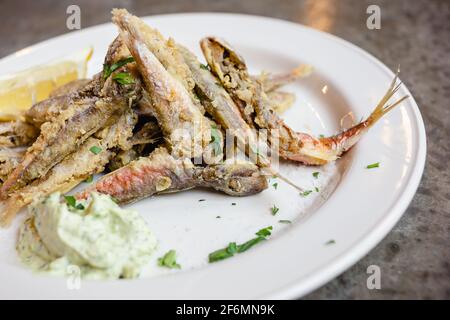 Fried capelin fish with herbs and lemon and cream sauce. Fish dish. Small fried fish, healthy food concept. Stock Photo